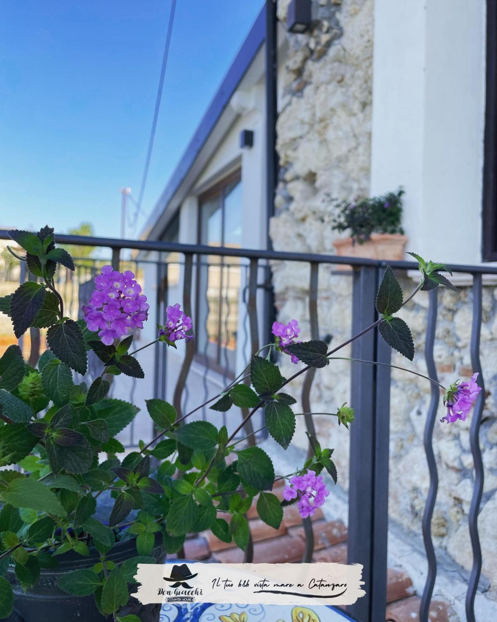 Don Giacchi Country House กาตันซาโร ภายนอก รูปภาพ