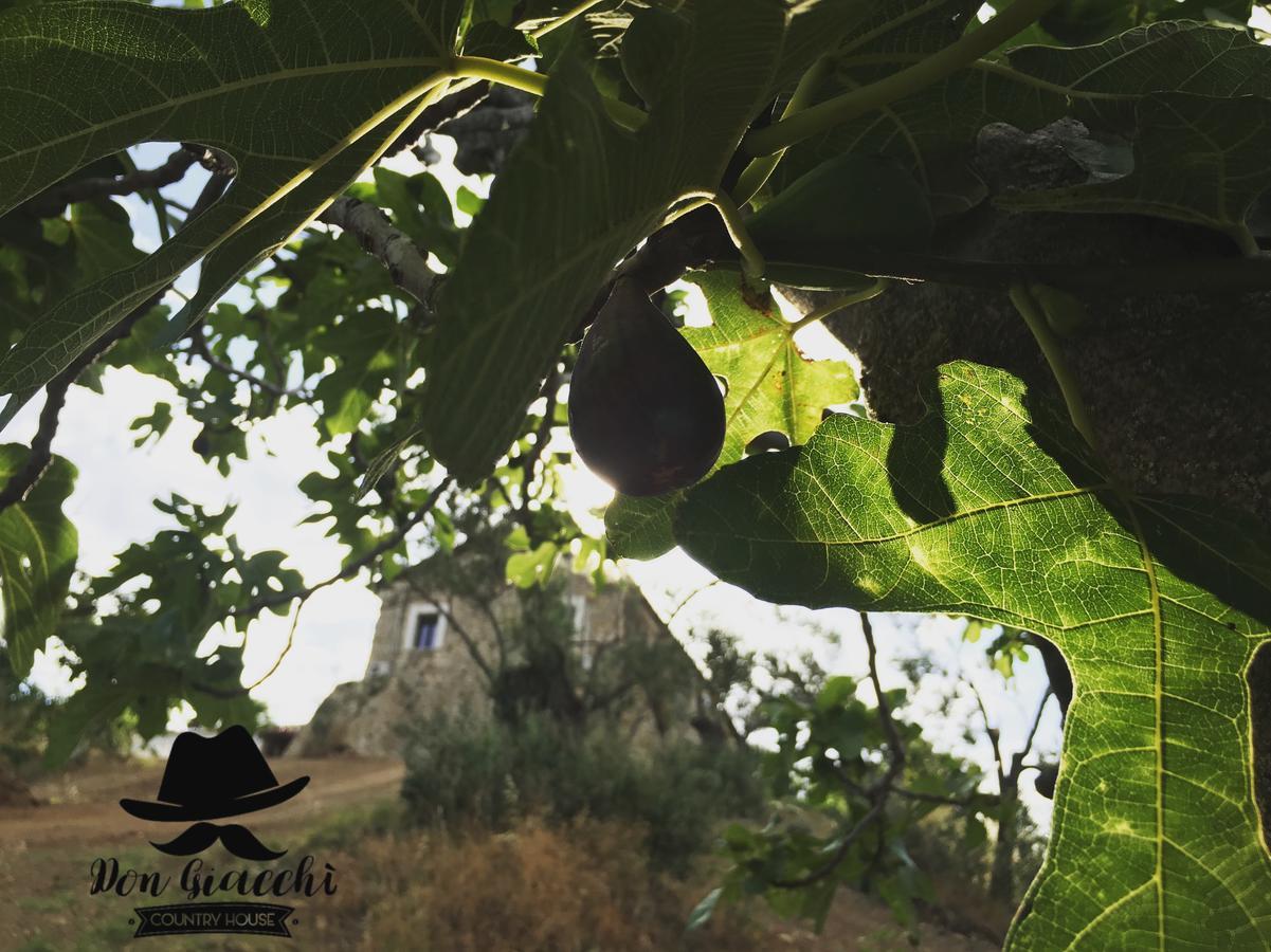 Don Giacchi Country House กาตันซาโร ภายนอก รูปภาพ